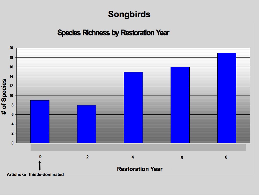 songbird graph