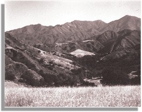 Starr Ranch Landscape