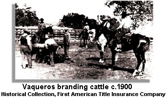 Vaqueros Branding Cattle c.1900
